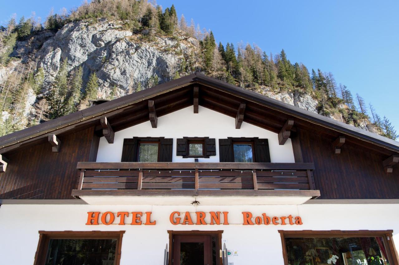Hotel Garni Roberta Malga Ciapela Eksteriør billede